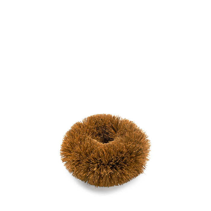 Coconut Scrubber