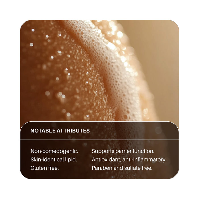 Hand & Body Soap Refill